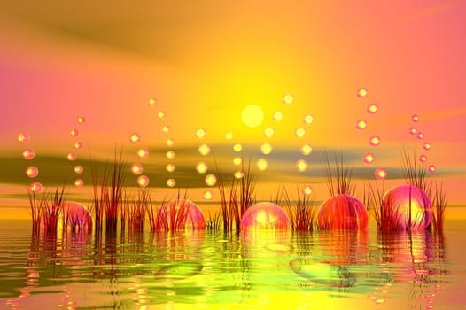 Bubbles