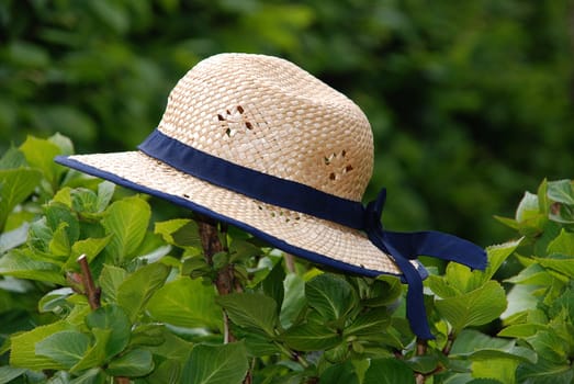 Straw hat