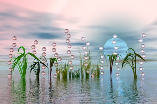 Bubbles