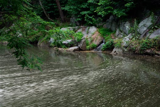 Whirlpool