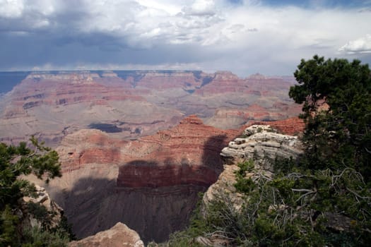 Grand Canyon Vista