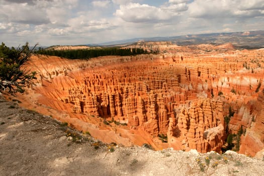Bryce Canyon Vista