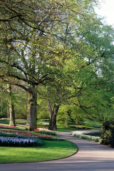 Flower Path
