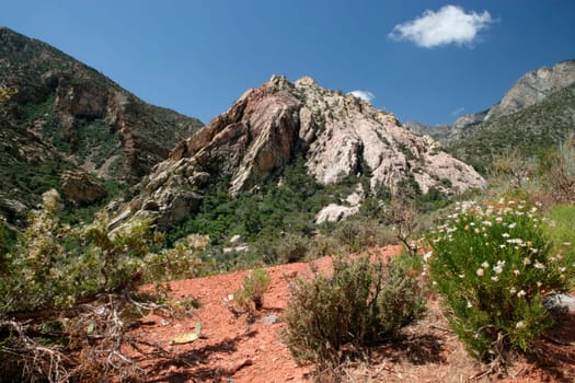 Red Rock Canyon Valley