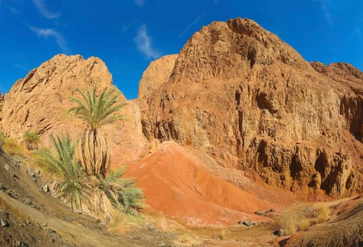 Wadi Qnain 1