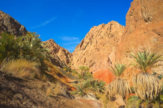 Wadi Qnain 3