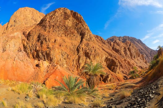Wadi Qnain 2