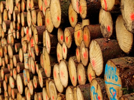 Lumber