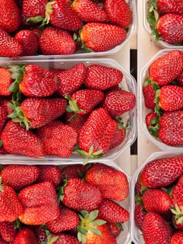 Strawberries