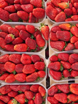 Strawberries