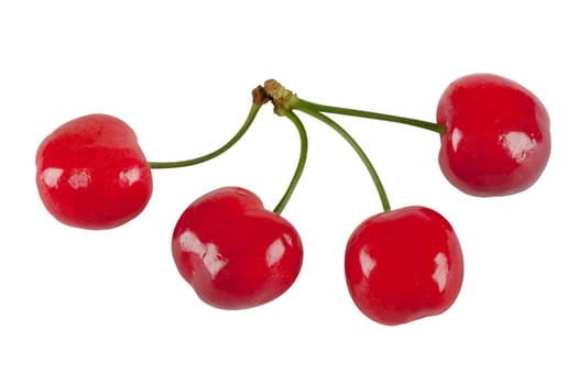 Cherries with exact pruning path