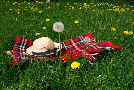 Reading outdoors