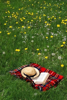 Reading outdoors