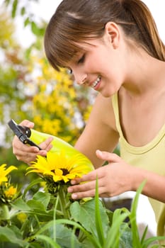 Gardening - woman sprinkling water to sunflowers