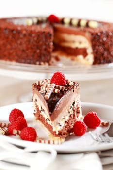 Delicious chocolate cake