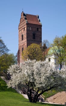 Church of the Visitation of Mary,Warsaw