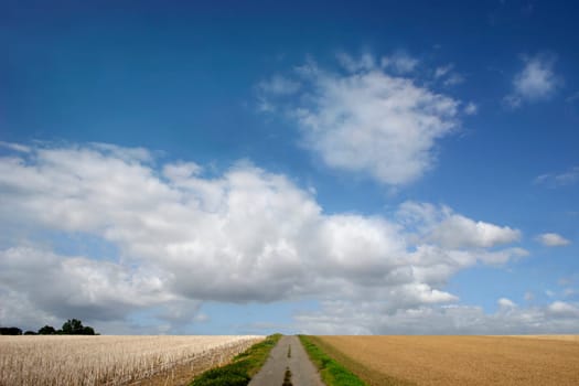 Landscape-Nature-Culture