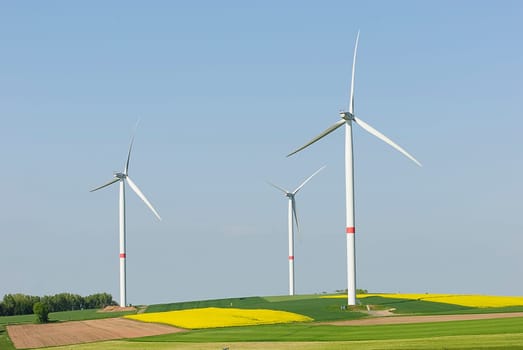 Green Energy 50