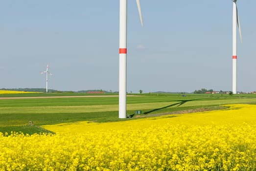 Green Energy 40