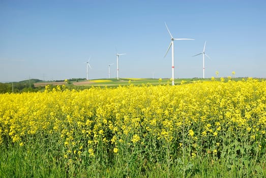 Green energy 67