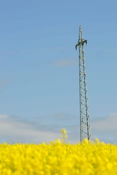 Green Energy 12