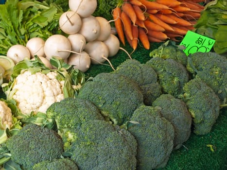 Vegetable