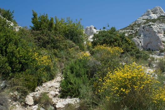 Nature experience Calanques in the South of France