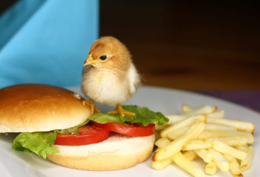 Chicken Burger