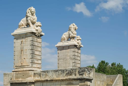 The Lions in Arles in France
