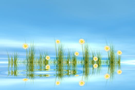 Tuft of grass with flowers