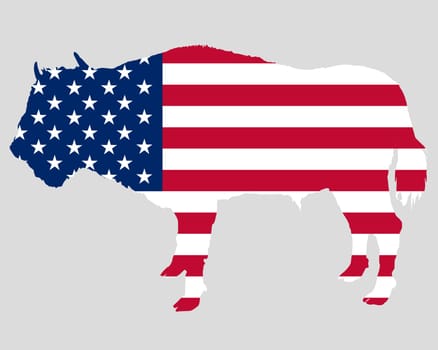 USA flag with bison