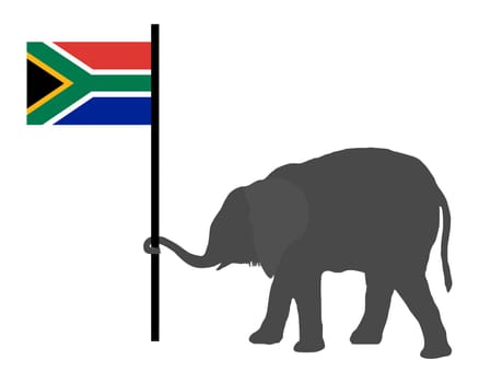 Elephant cub with South Africa flag