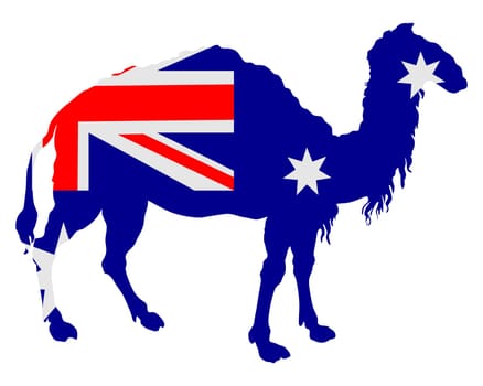 National flag of Australia with camel