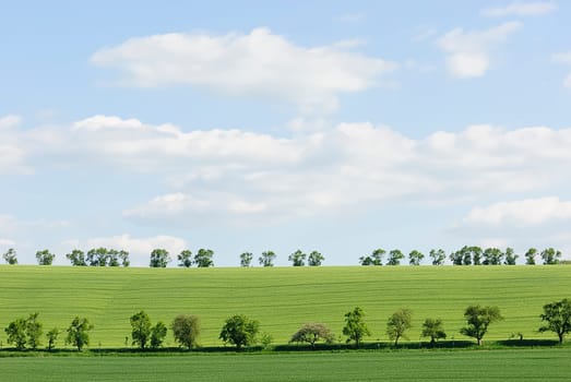 green 4