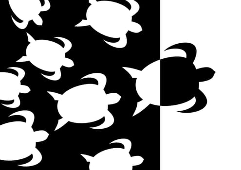 Tortoises