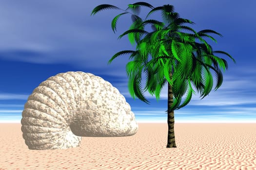 Palm tree