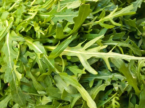 Arugula