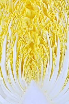 Closeup of half sliced chinese cabbage head