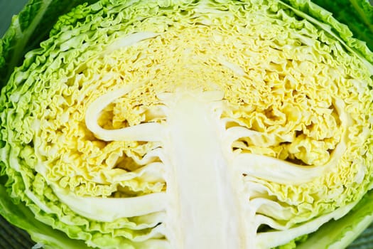 Closeup of half sliced cabbage head