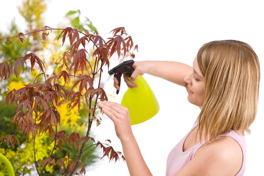 Gardening - woman sprinkling water to plant