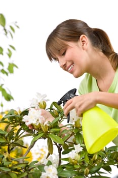 Gardening - woman sprinkling water on Rhododendron blossom flowe