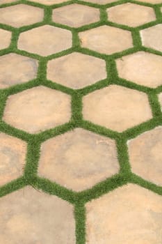 Hexagonal landscape tiles