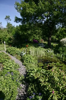 Near-natural garden with garden pond