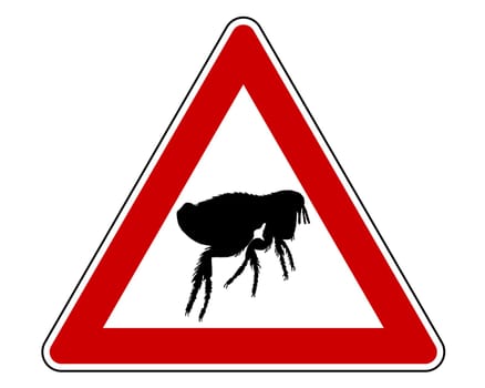 Attention flea