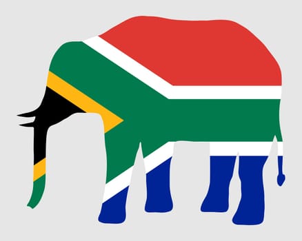 Elephant with South Africa flag