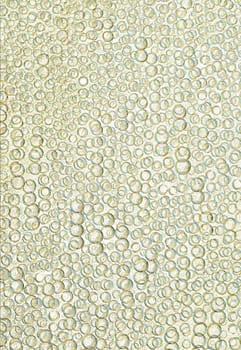 air bubbles