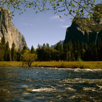 Yosemite National Park