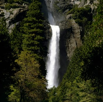 Lower Yosemite Falls