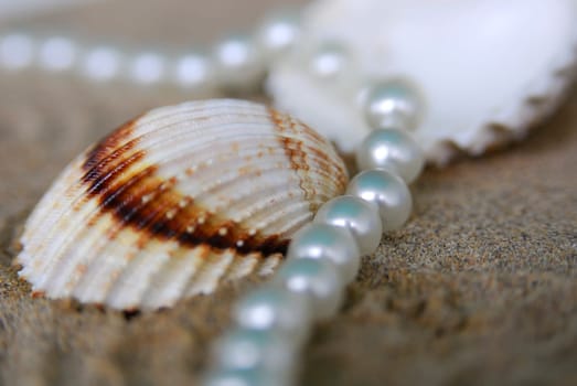 Pearl Necklace 16