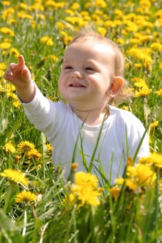 Toddler in dandelion field